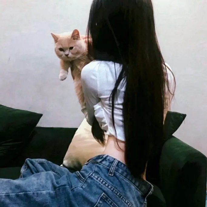 热播剧集